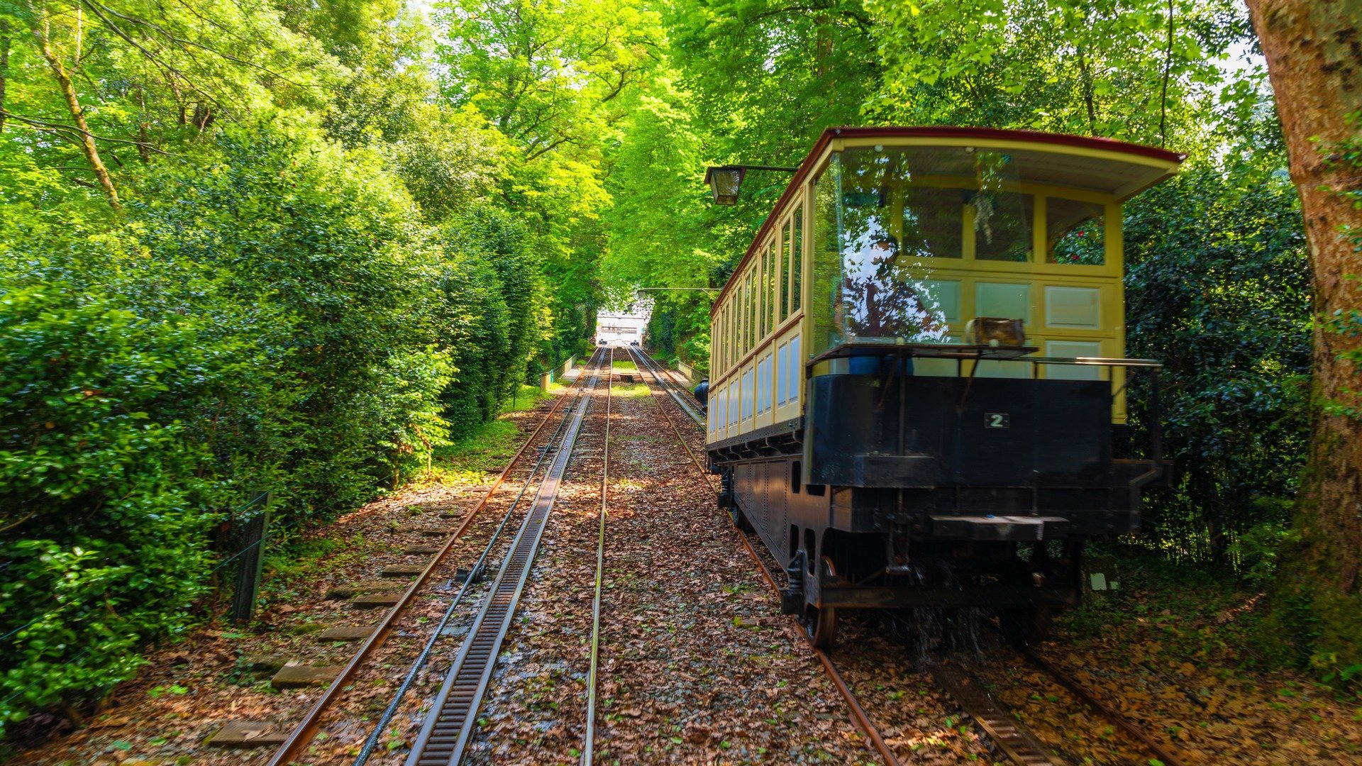 Bom Jesus Funicular