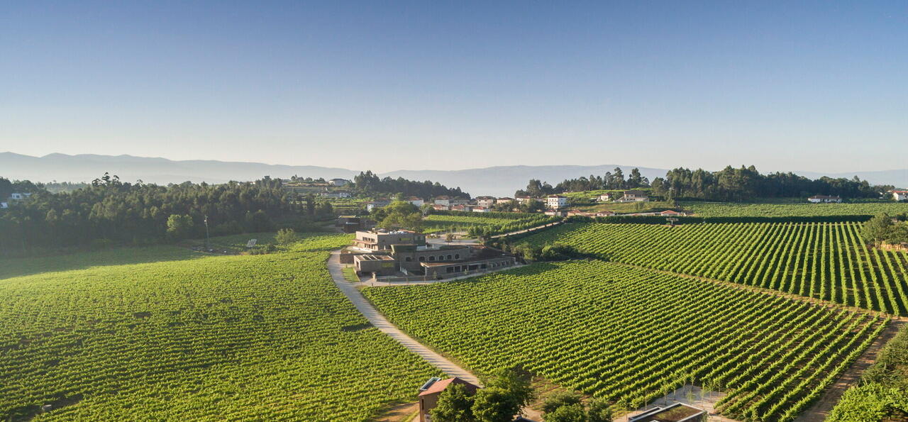 Vinho Verde Experience